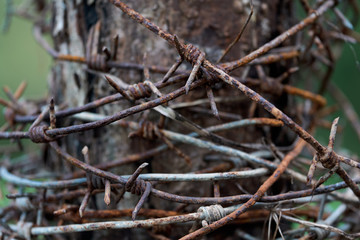 Background with an old rusty barbed wire reeled up on the wooden post