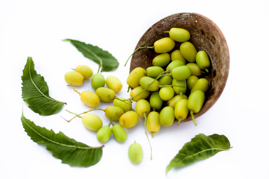 Neem fruit or nim fruit or Indian lilac fruit in a clay bowl isolated on white along with some fresh leaves also.Horizontal shot.
