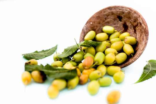 Neem fruit or nim fruit or Indian lilac fruit in a clay bowl isolated on white along with some fresh leaves also.Horizontal shot.