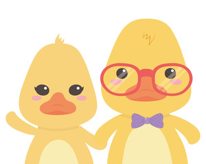 Couple of ducks cartoons design