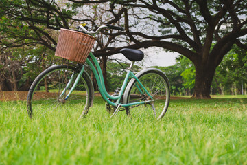 Fototapeta na wymiar Beautiful vintage bicycle in park