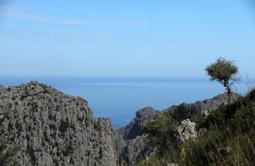Fototapeta na wymiar Sierra de Tramuntana auf Mallorca