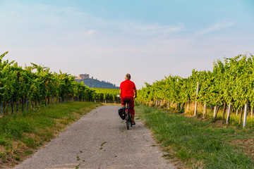 Obraz premium Cyclist on grape mountain. Biking travel tour in Vineyards Palatinate region, Deutsche Weinstrasse (German Wine Route), Rhineland-Palatinate, Germany. 