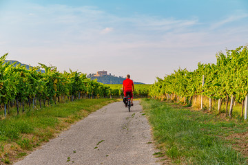 Obraz premium Cyclist on grape mountain. Biking travel tour in Vineyards Palatinate region, Deutsche Weinstrasse (German Wine Route), Rhineland-Palatinate, Germany. 
