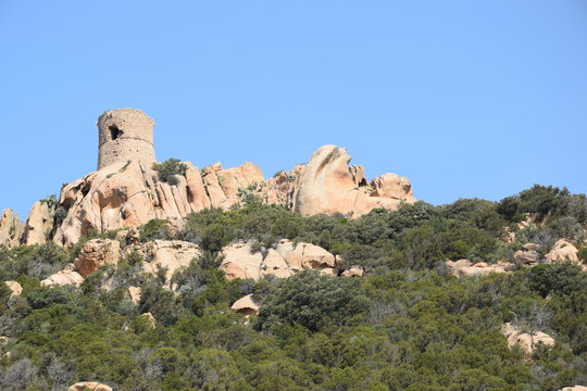 Tour genoise corse