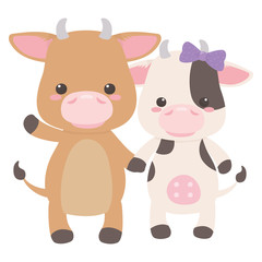Obraz na płótnie Canvas Bull and cow cartoon design