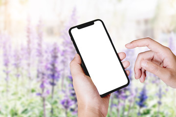 woman using Smartphone. Blank screen mobile phone for graphic display montage.networking service..