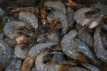 Fresh srimp background. Shrimps in a local market of tropical