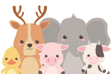 Reindeer elephant duck pig and cow design