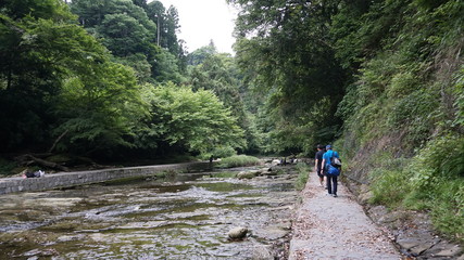 Fototapeta premium 川沿い