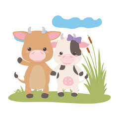 Bull and cow cartoon design