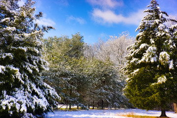 The Colors Of Winter