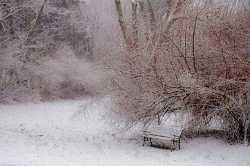 White Dust Of Spring