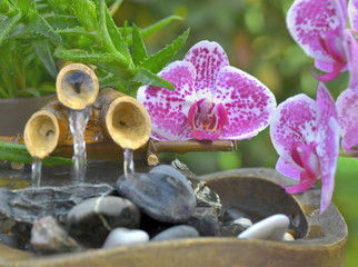 pink flowers of orchid put on a little decorative bamboo fountain
