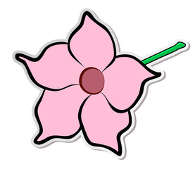 Vector illustration, sticker of pink Mandevilla flower in flat cartoon style isolated on white background