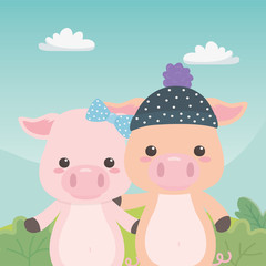 Couple of pigs cartoons design