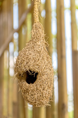 Bird nest hand craft made with straw.