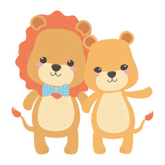 Lion and lioness cartoon design