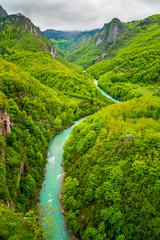 Montenegro, Green untouched nature landscape of tara canyon created by tara river water crossed by...