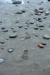 pebbles on the beach