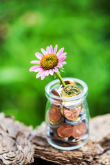 Concept of saving, economy and finance. Coins in a bottle and the blooming flowers, Represents the...