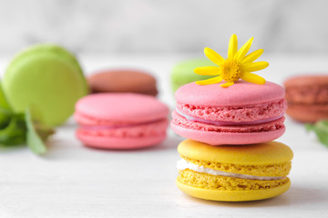 macaroons. delicious colored French macaroon pastries with a yellow flower on a white wooden table