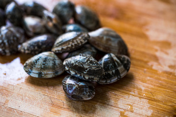 Hard clam on table. Preparing food