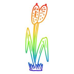 rainbow gradient line drawing cartoon bullrush