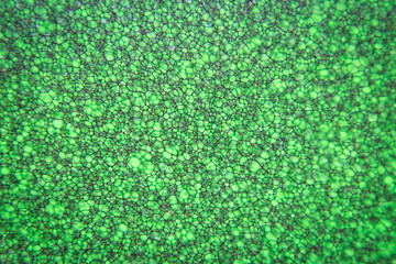 Macro picture of green sponge plastic scourer pad 