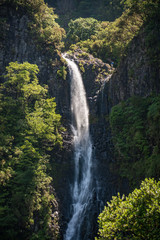 Fototapeta na wymiar Madeira levada walk Risco waterfall