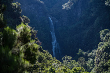Madeira levada walk Risco waterfall