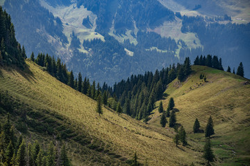 Landscape for Hiking towards Rotwand