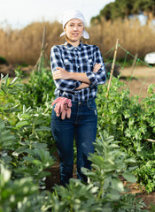 Girl farmer harvesting peas in the garden