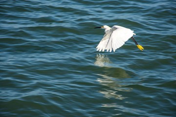 On the sea 