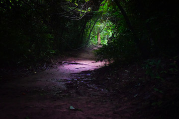 Fototapeta premium forest path ,kanchanaburi waterfall erawan