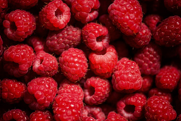 Fresh red raspberries background. Macro.