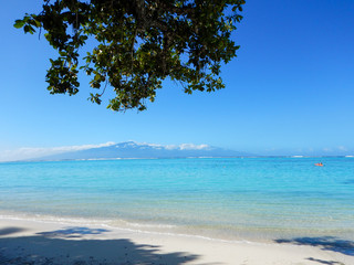 Tropical Beach Lagoon and Reef, Moorea, French Polynesia