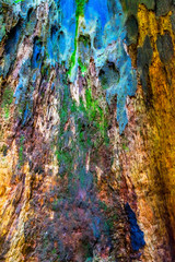 Colorful Bark Redwoods National Park Crescent City California