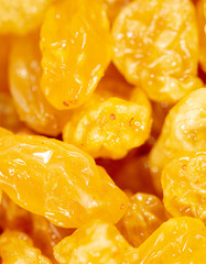 Yellow raisins as background