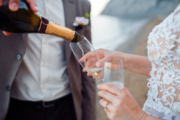 Happy newlywed couple. Beautiful bride and groom in a suit with champagne on a background of mountains.