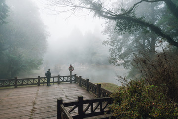 Male tourist standing on Wooden platform with Cedar trees and fog in the background in the forest in Alishan National Forest Recreation Area in winter in Chiayi County, Alishan Township, Taiwan.