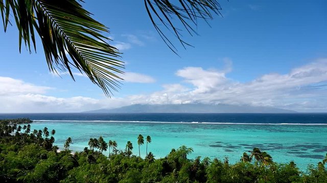 Tropical Reef, Moorea, Tahiti, French Polynesia
