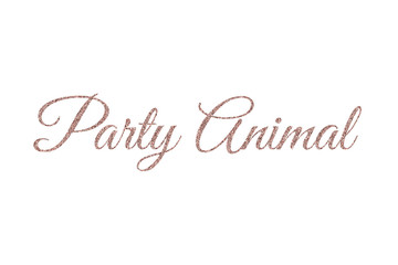 Party Animal in Rose Gold Glitter, Rose Gold Glitter Words Party Animal Isolated on White Background 