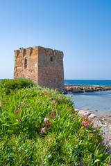 Fototapeta na wymiar Baroque watchtower, beautiful old tower in San Vito, Polignano a Mare, Bari, Puglia, Italy with with blue sea, stone wall and flowers, Mediterranean landscape