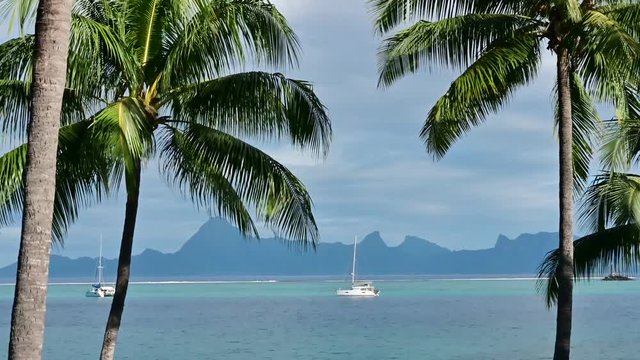 Sailboat, Moorea, Tahiti, French Polynesia