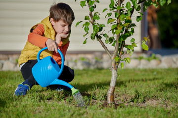 Boy watering tree with watering can in the garden. © Artem