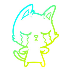 cold gradient line drawing crying cartoon cat