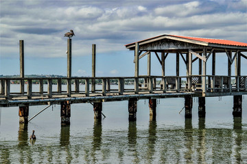 Fototapeta premium pier at sunset