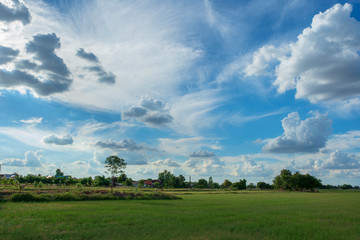 Fototapeta na wymiar Blue sky background with green fields and white clouds.