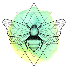 Beautiful hand drawn honey bee queen insect on geometrical sign. Vector.